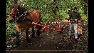 The Horse of Horsenden Hill [upl. by Asus]