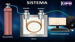Cromatografo de gases  Funcionamiento sistemático básico [upl. by Yedsnil]