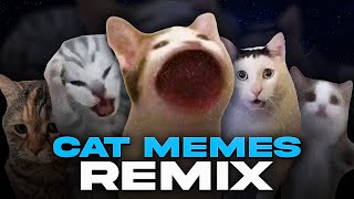 ALL CAT MEMES REMIX [upl. by Nylg]