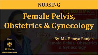 Female Pelvis Obstetrics amp GynecologyBSc Nursing IV I Guru Kpo [upl. by Onstad226]