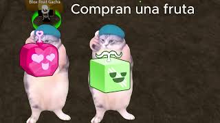 Parte 7  Pov  juegas blox fruits bloxfruits humor gatos [upl. by Mchugh]