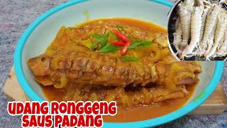 CARA MASAK UDANG RONGGENG YANG ENAK ‼️UDANG RONGGENG SAUS PADANG [upl. by Desmond350]