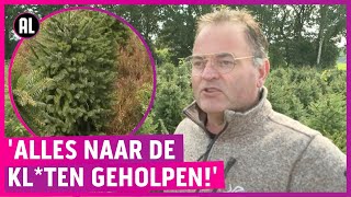 Mafkees verpest leven van kerstboomhandelaar 100k schade [upl. by Ahsilrae]