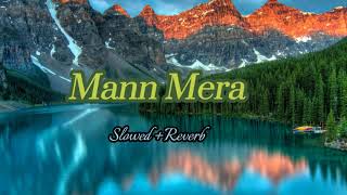 Mann Mera Slowed  Reverb Bollywood hindi lofi song [upl. by Jervis]