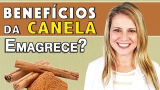 Benefícios da Canela  Para Que Serve Emagrece E o Chá DICAS [upl. by Ahsilif638]