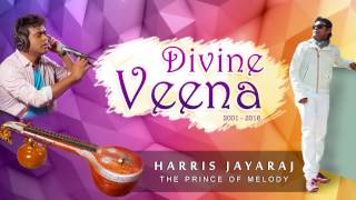 Harris Jayaraj Veena Instrumental [upl. by Ellekcim]