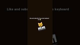 i miss piano cat [upl. by Volotta]