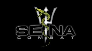 SENA COMBAT  Pattaya Fight Night Highlights MMA and Muay Thai [upl. by Pearline655]