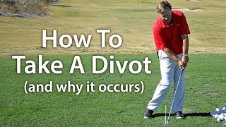 How to Take a Divot [upl. by Atilam805]