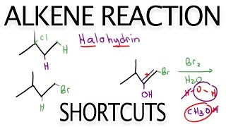 Alkene Reaction Shortcuts and Products Overview by Leah Fisch [upl. by Quar]