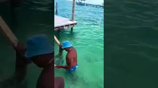 Feeding the fish Lobster in Caye Caulker Belize [upl. by Idalla]