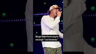 Love Somebody in 29seconds morganwallen lovesomebodymorganwallen viralmusic [upl. by Brosine]