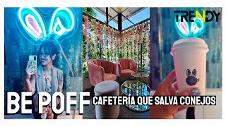 RESTAURANTES TEMATICOS  BE POFF La cafetería que ayuda a los CONEJOS [upl. by Nicolella]