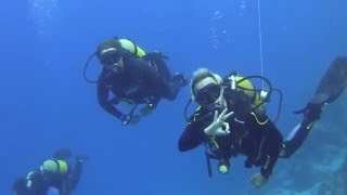 Diving in Zanzibar  Spanish Dancer Divers [upl. by Jocko]