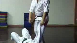 GOJU RYU KARATE  TRAINING TECHNIQUES 2 [upl. by Ahsiken]