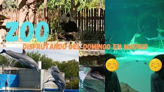 VISITA AL ZOO DE MADRID VLOG [upl. by Eirellav52]