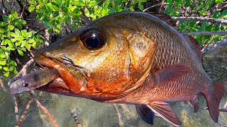 Skip Casting Squidgies Paddletail Prawn How to Rig Weedless [upl. by Quince]