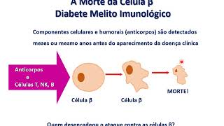 Diabete Melito aula 2 [upl. by Venice]