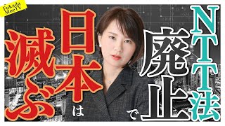 青山議員のペテン。NTT法廃止付提言が閣議決定で「外資に売れるNTT」に。 [upl. by Awhsoj297]