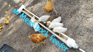 Easy no mess Duck feeder DIY [upl. by Nino]