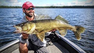 Search amp Destroy Tactics for Walleye 🔥 [upl. by Ellinet574]