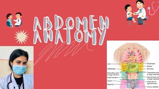 Abdominal Anatomy  Regions Quadrants amp Organs  Anatomy amp Physiology  Hindi [upl. by Pan]