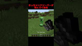 【マイクラ】とんでくりーぱー mini creeper blows away [upl. by Pelmas]