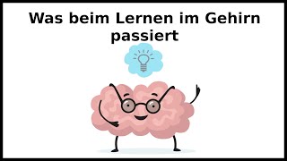 Wie lernt das Gehirn  Wachstumsdenken  Kindern erklärt [upl. by Woll]