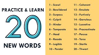 Practice and Learn 20 New Words  Vocabulary Quiz [upl. by Otineb]