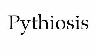 How to Pronounce Pythiosis [upl. by Avrenim]