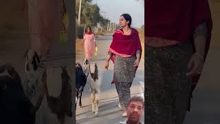 ❤️🔥 मेरे song dance funny love punjabi bollywood music hindisong bollywoodsongs [upl. by Solohcin]