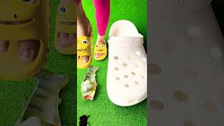 crocs giant slippers shoes funny sandals love trending footwear amazingfacts [upl. by Enyrehtac]