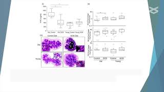 The pleiotropic effects of prebiotic galacto oligosaccharides on the aging gut [upl. by Elnore]