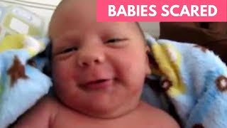 Babies Scared of Farts Compilation  Try Not To Laugh  Funny amp Aww Cute Babies Compilation 2019 [upl. by Lecirg597]