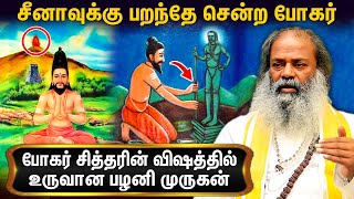 பழனி மலைக்கு அடியில் போகர் ஒளித்து வைத்த ரகசியம்  Mooligai Siddhar About Bogar Siddhar History [upl. by Arlana522]