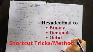 Hexadecimal to Decimal Binary amp Octal in Hindi  Digital Electronics Number system [upl. by Eidna]