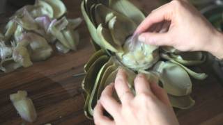 Parmesan and Artichoke Recipe  KRAFT Grated Parmesan Cheese [upl. by Gav972]