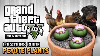 GTA 5  Peyote Plants Location Guide Play as an Animal [upl. by Seidnac]