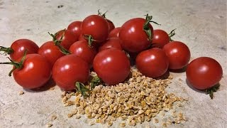 How to save tomato seeds [upl. by Etakyram321]