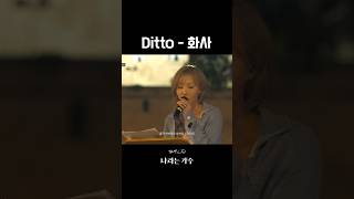 마마무 화사 Ditto 미친 화음에 취한다 [upl. by Ricker]