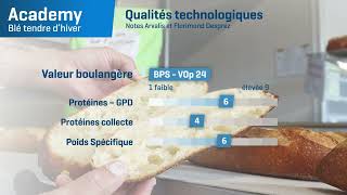 𝗔𝗖𝗔𝗗𝗘𝗠𝗬 🎓 Un Blé Panifiable Supérieur BPS à l’excellent profil maladies [upl. by Remy]