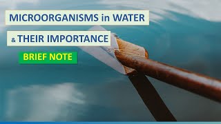 MICROORGANISMS IN WATER amp THEIR IMPORTANCE brief note  ENVIRONMENTAL MICROBIOLOGY applied MB [upl. by Undis]