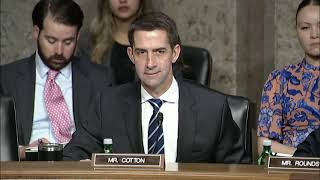 April 27 2023 Senator Cotton QampA during Senate Armed Services Committee [upl. by Refitsirhc]