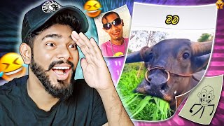 හරියට හුරතල් වෙන්නෙ මෙහෙමයි😻  Gazta react [upl. by Absalom]