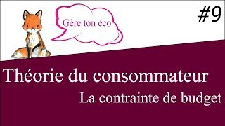 Microéconomie  La contrainte de budget Théorie du consommateur 9 [upl. by Lester]