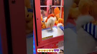 Real claw machine 😭😭😭😭😭😭 funny cute pets dog cutedog [upl. by Caritta24]