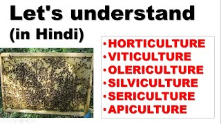 Difference bw HORTICULTURE VITICULTURE OLERICULTURE SILVICULTURE SERICULTURE amp APICULTURE [upl. by Anna-Maria]