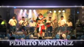 PEDRITO MONTAÑEZ 2012 MIL AMORES [upl. by Asilav]