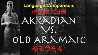 Akkadian vs Old Aramaic  A Comparison of Semitic Languages Using the Tell Fekheriyeh Inscription [upl. by Lewak377]