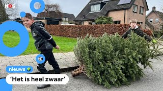 Kinderen zamelen kerstbomen in [upl. by Yrrab]